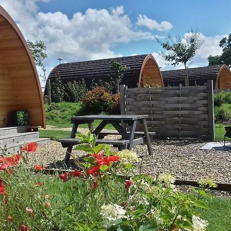 Отель Buttercup Glamping Pod Челтенхам Экстерьер фото